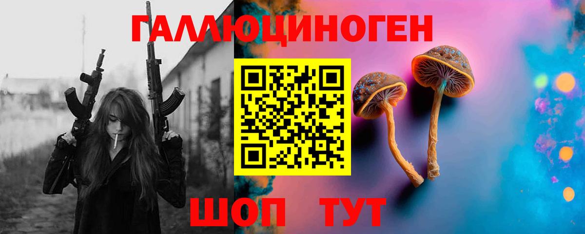 Псилоцибиновые грибы Cubensis  Вход с VPN  Донской 